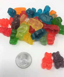 Albanese Gummi Bears 12 Flavors Assorted Fruit Bulk Gummi Candy 1 Pound