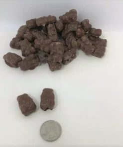 Albanese Gummi Candy Chocolate Covered Gummi Bears 1 Pound Chocolate Gummy Bears