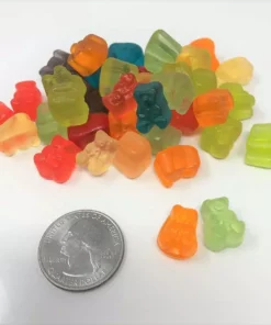 Albanese Gummi Candy Gummi Bear Cubs Baby Gummi Bears Mini Gummy Bears 2 Pounds