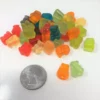 Albanese Gummi Candy Gummi Bear Cubs Baby Gummi Bears Mini Gummy Bears 5 Pounds 1 Albanese Gummi Candy Gummi Bear Cubs Baby Gummi Bears Mini Gummy Bears 5 Pounds