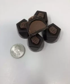 Beulah's Candyland Gourmet Chocolate Truffles Dark Chocolate Candy 1 Pound