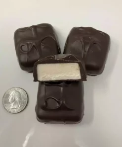 Beulah's Candyland Gourmet Jumbo Vanilla Marshmallow Dark Chocolate Candy 1 Pound