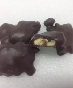 Beulah's Candyland Gourmet Pecan Caramel Patties Dark Chocolate Candy 1 Pound