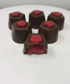 Beulah's Candyland Gourmet Raspberry Truffles Milk Chocolate Candy 1 Pound