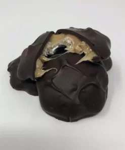 Beulah's Candyland Gourmet Cashew Caramel Pattie Dark Chocolate Candy 1 Pound